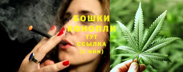 индика Ростов