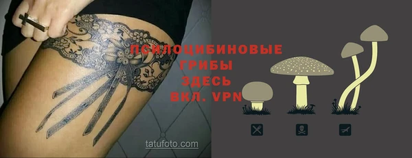 крисы Россошь