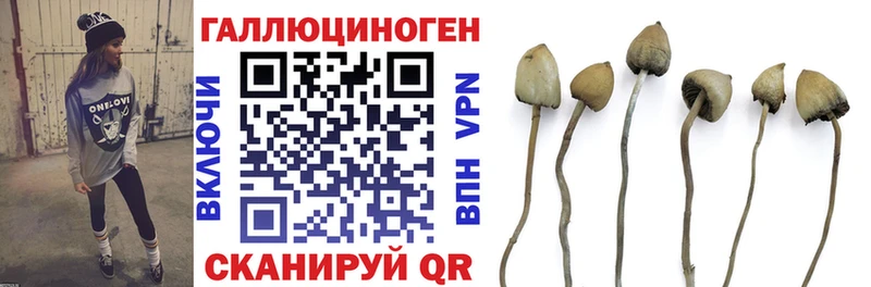 blacksprut ССЫЛКА  Южа  Галлюциногенные грибы мицелий 